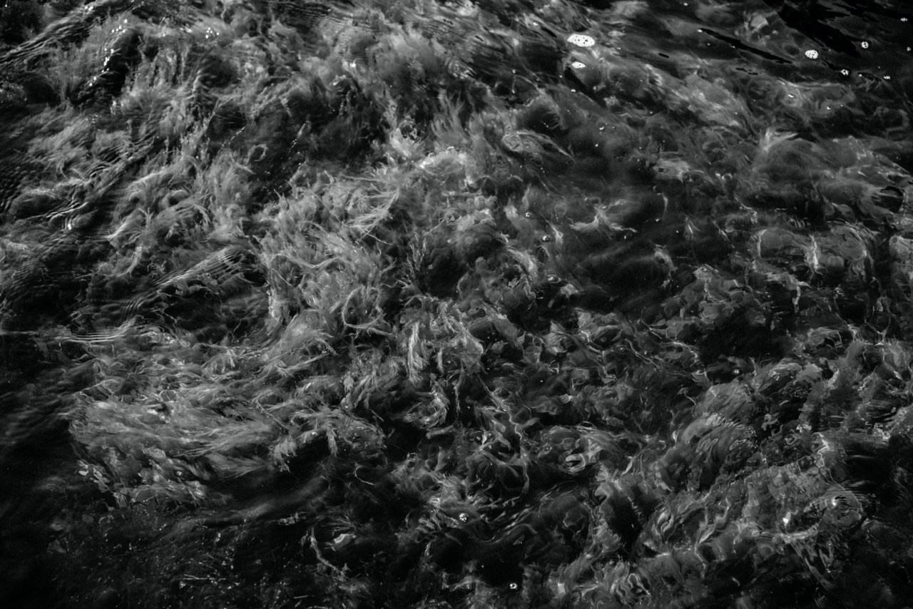 More More. Katerina Kiper Photography