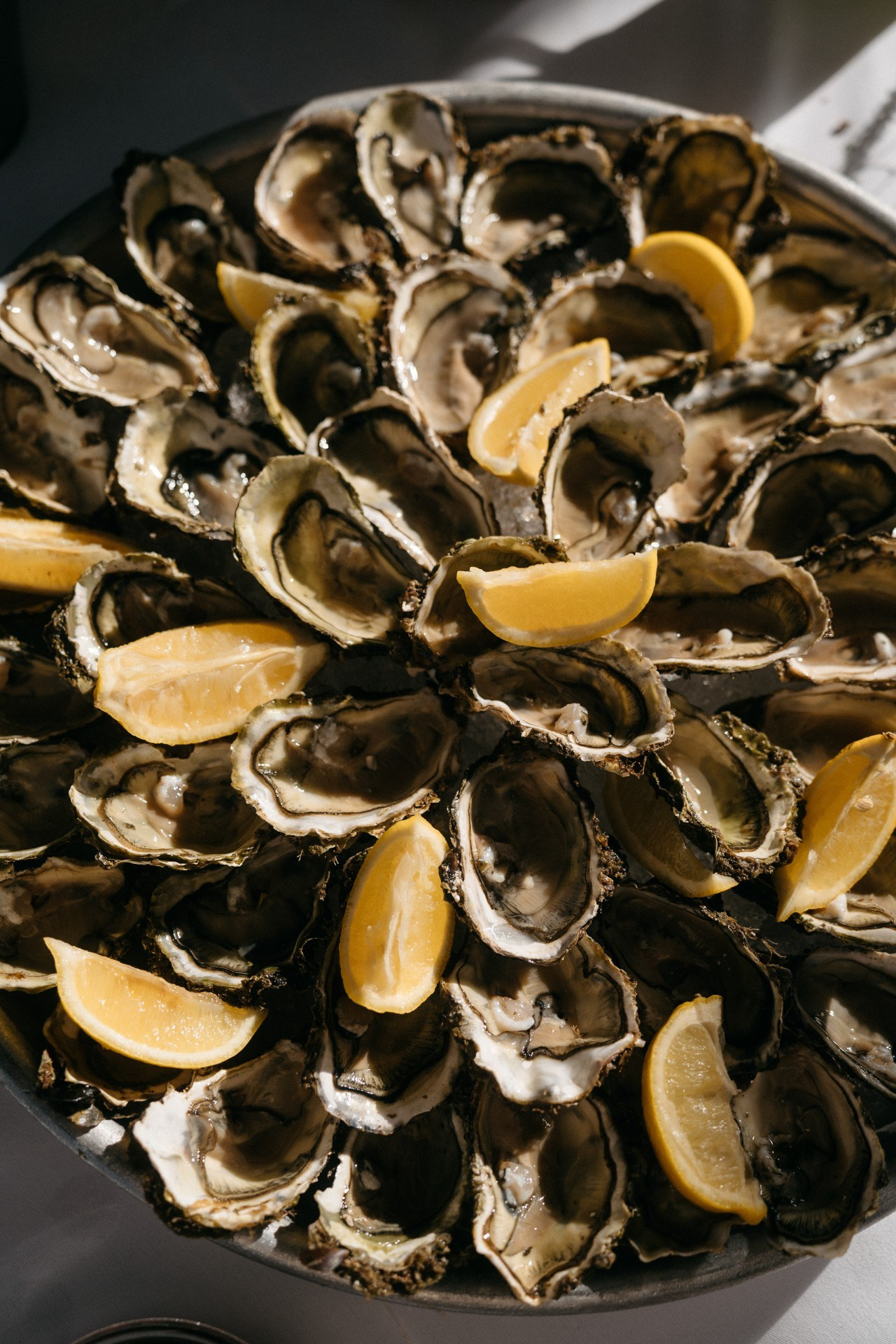 Provence & Promises. Wedding photograper — Alex Popov photography Germany, Switzerland, Italy, France. Based in Stuttgart