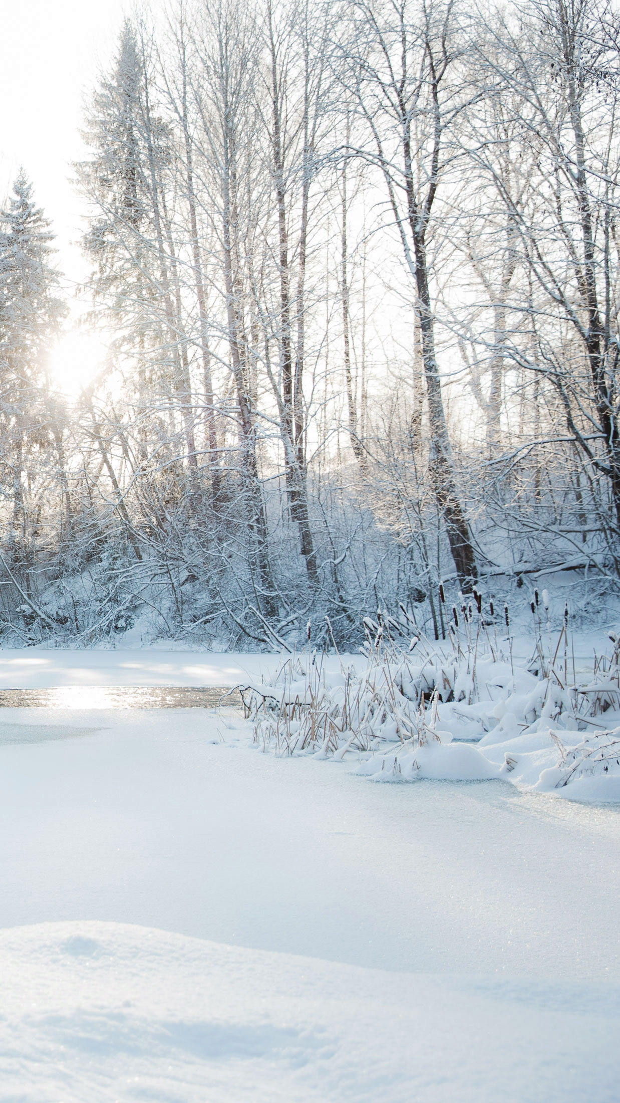 Wallpaper for iphone Finnish nature, taustakuvia puhelimeen