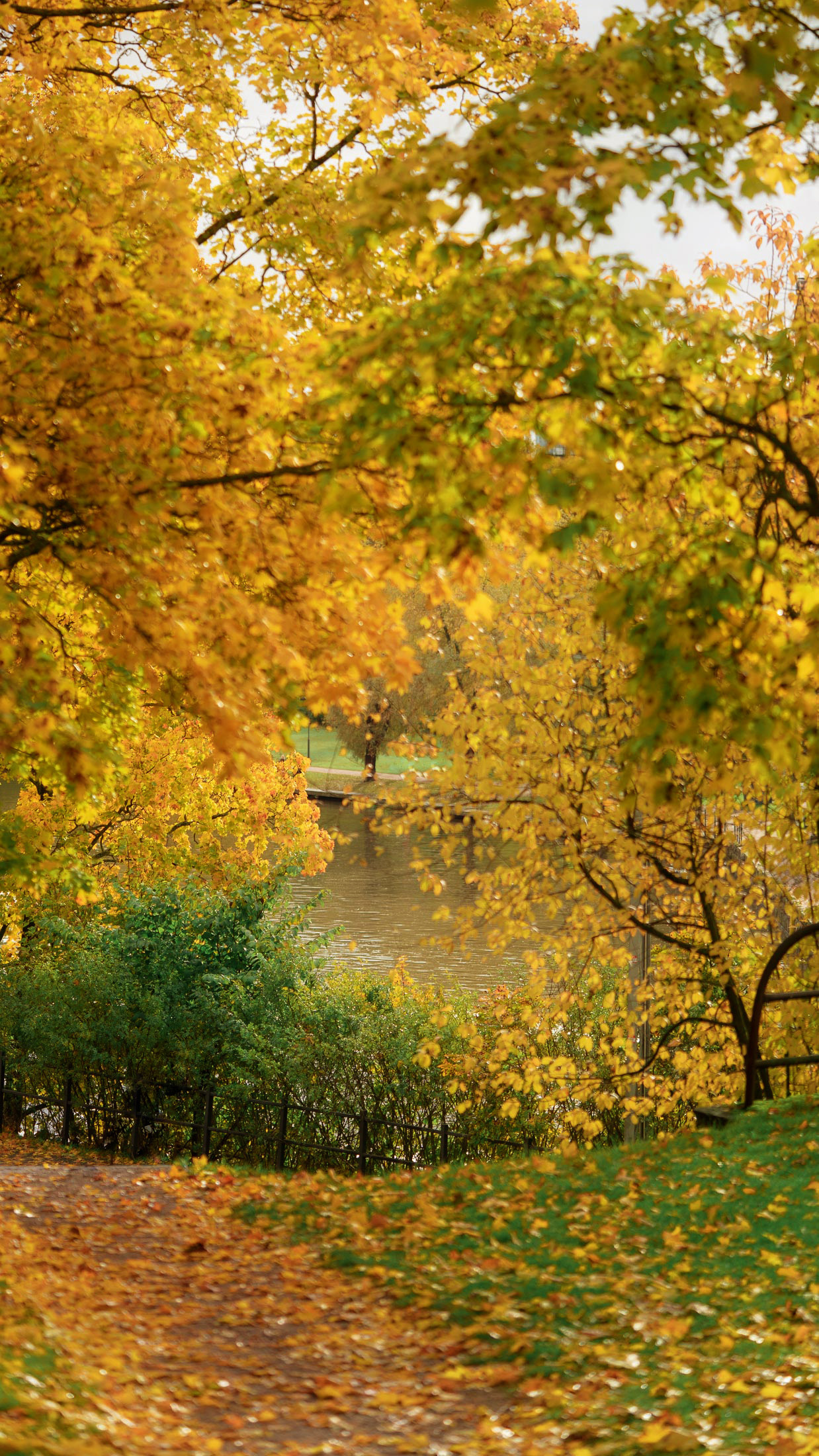 taustakuvat, taustakuvia puhelimeen