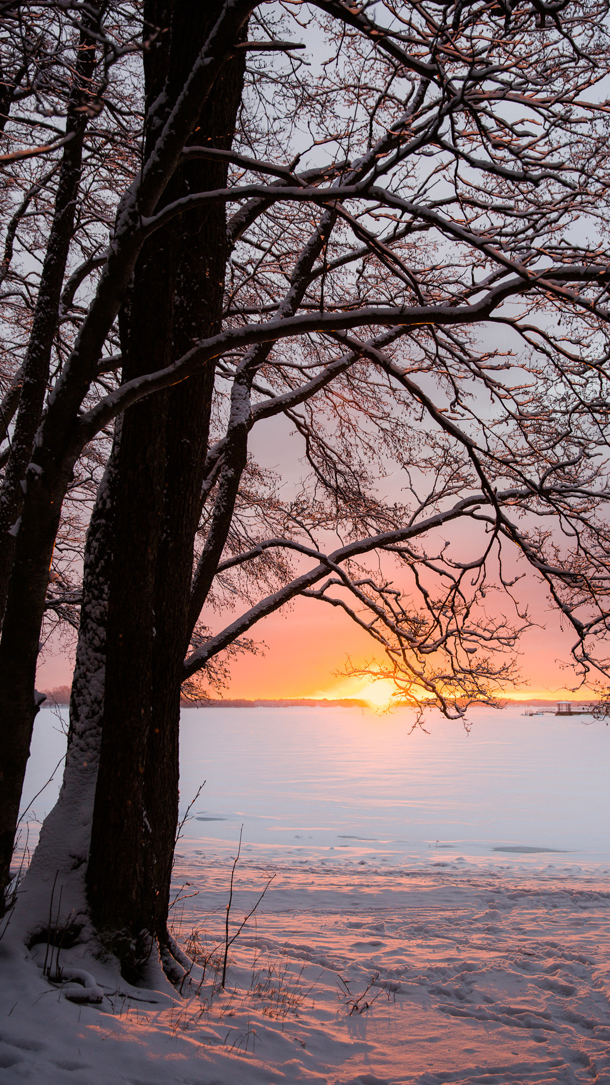 Finnish nature background images
