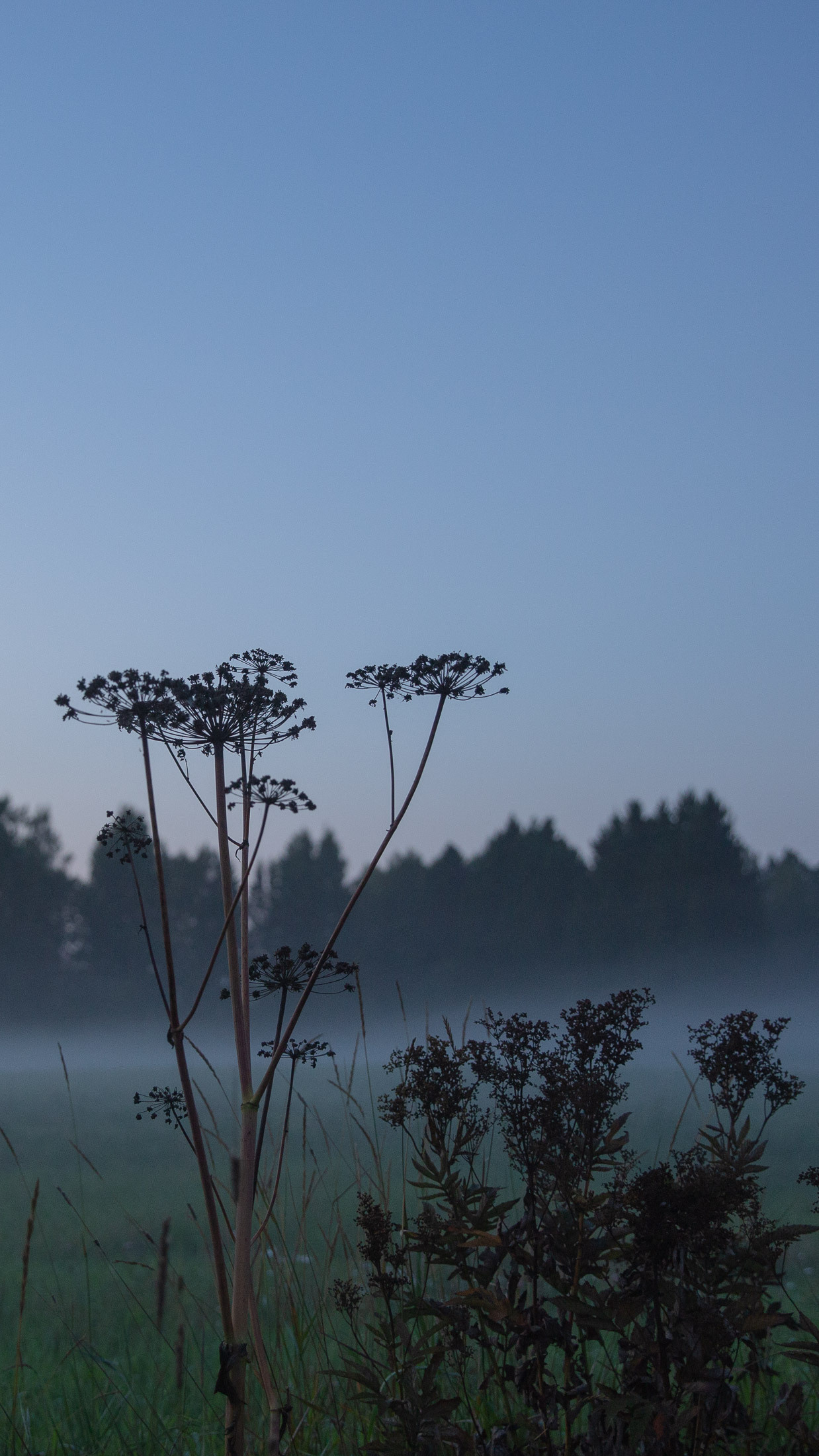 Suomen luonto puhelintaustakuva, taustakuvat puhelimeen