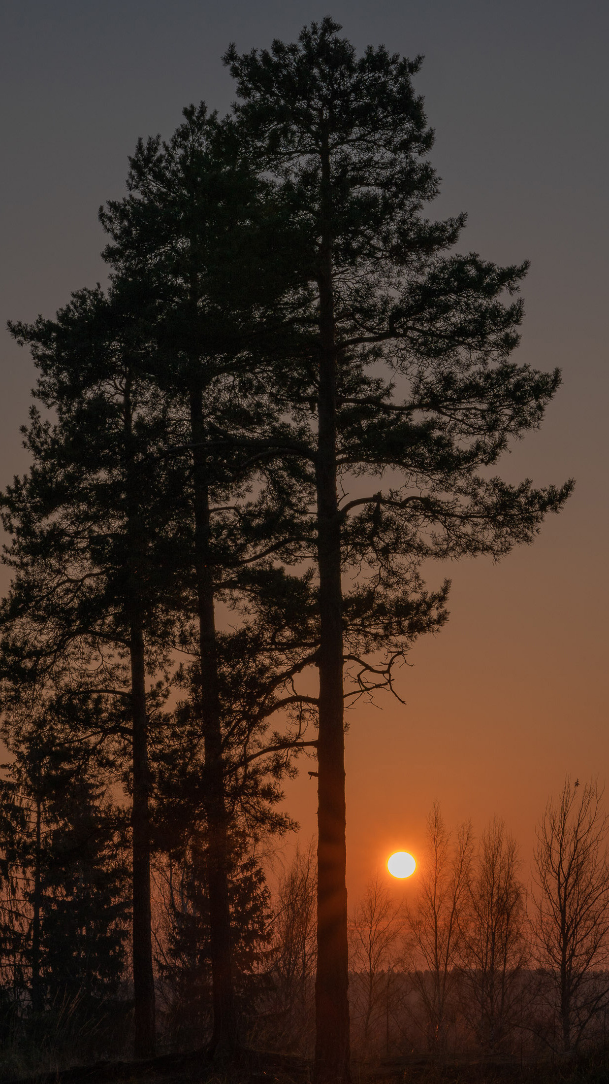 Fall images for smartphone, wallpaper 