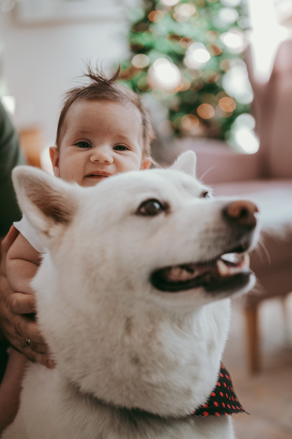 Ema, Tijana i Bojan. Deciji i porodicni fotograf u Beogradu Oksana Skendzic
