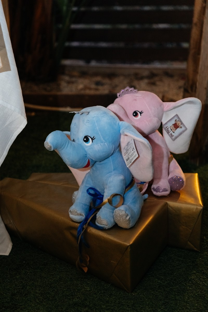 Подвійне хрещення R & Z. Весільний фотограф у Нідерландах та Європі — Тіна Ялóва