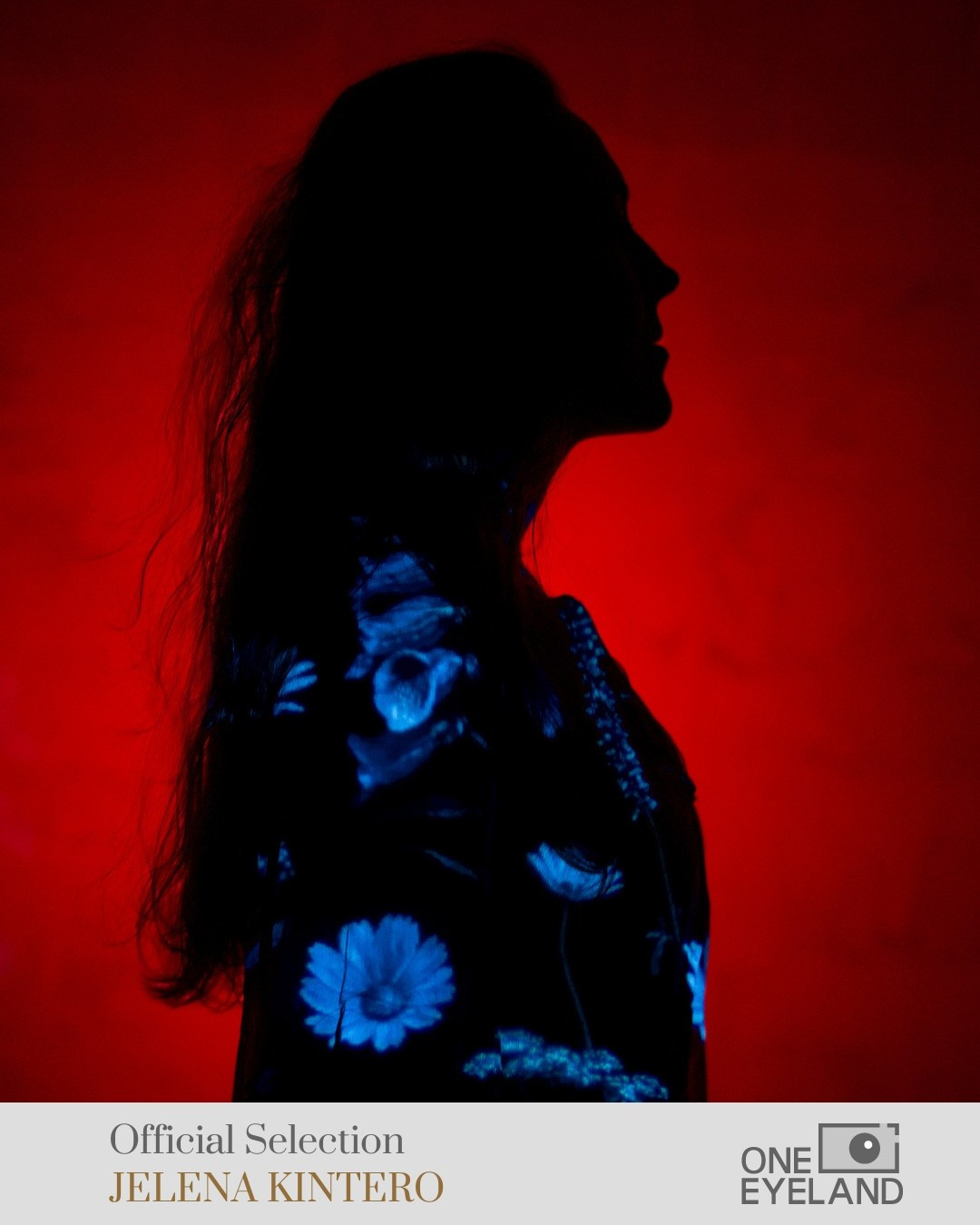 Online Publications. Jelena Kintero ART