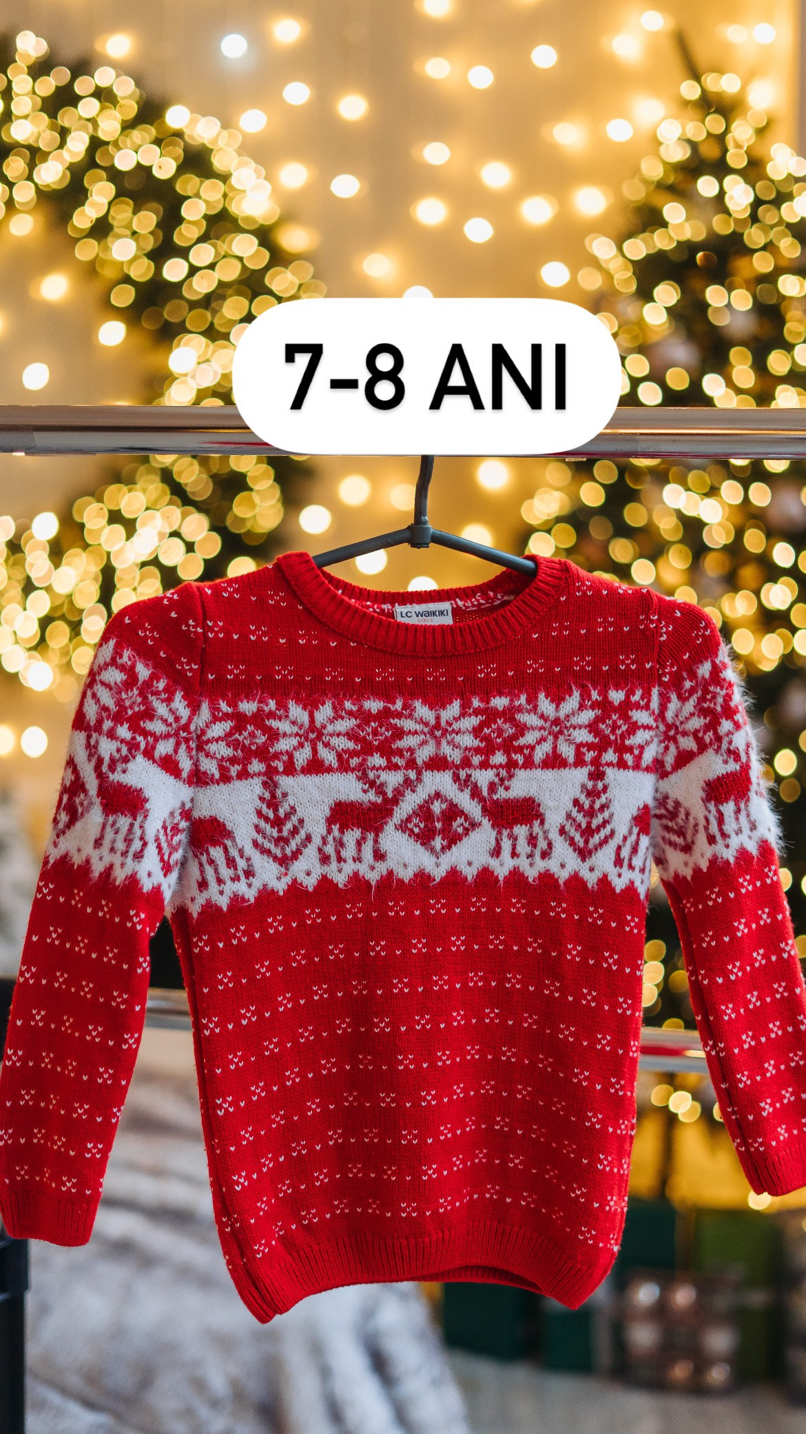 Sesiune foto de Crăciun. Diana Muntean Photography