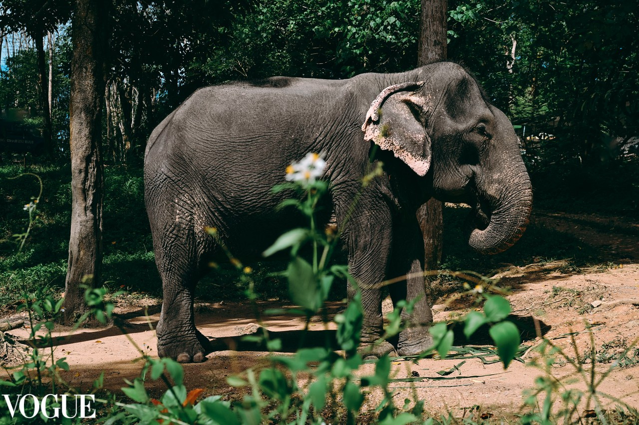 Creative Family, Brand, Boudoir and Wedding Photographer in Solihull & Birmingham Irina Zoteeva