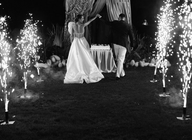 Sophisticated portrait of a stylish couple