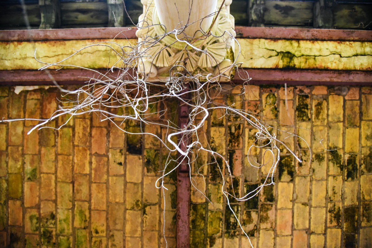 Aesthetic of Chaos. Katerina Kiper Photography