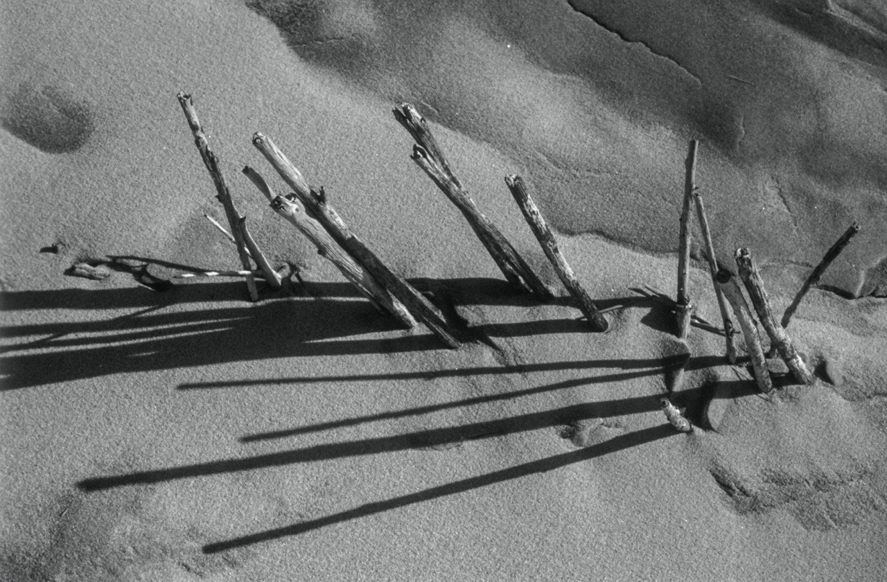 Sacra Natura. Katerina Kiper Photography