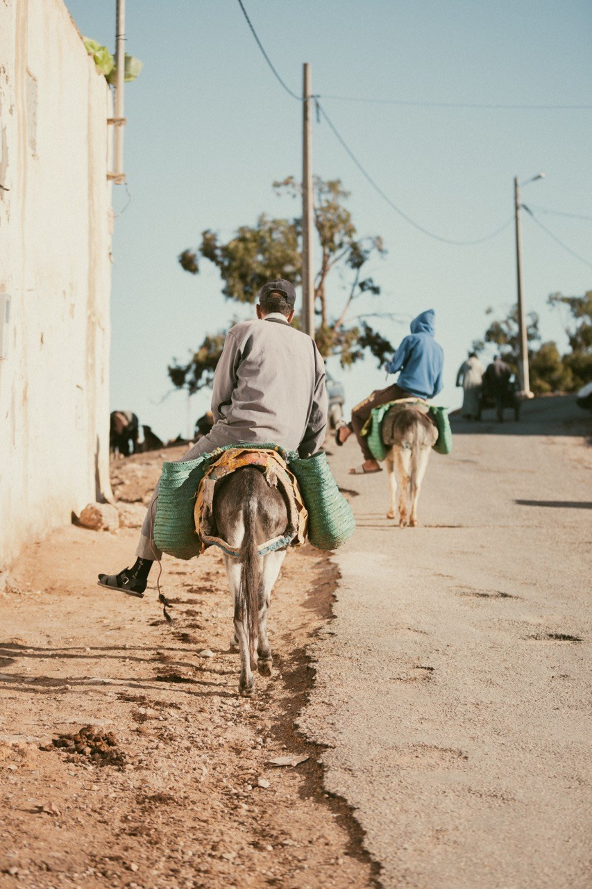 Travel and lifestyle photography. Dana Lišková — Empathetic Photographer | Introspective Artist |Neurodivergent Coach | Founder of Artepy.cz