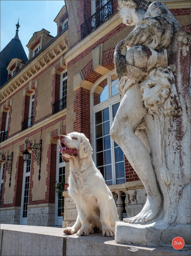 Expo canine Chartres  🇫🇷  15/06/2025. Photographe à Strasbourg | Portraits, Studio, Enfants, Événements