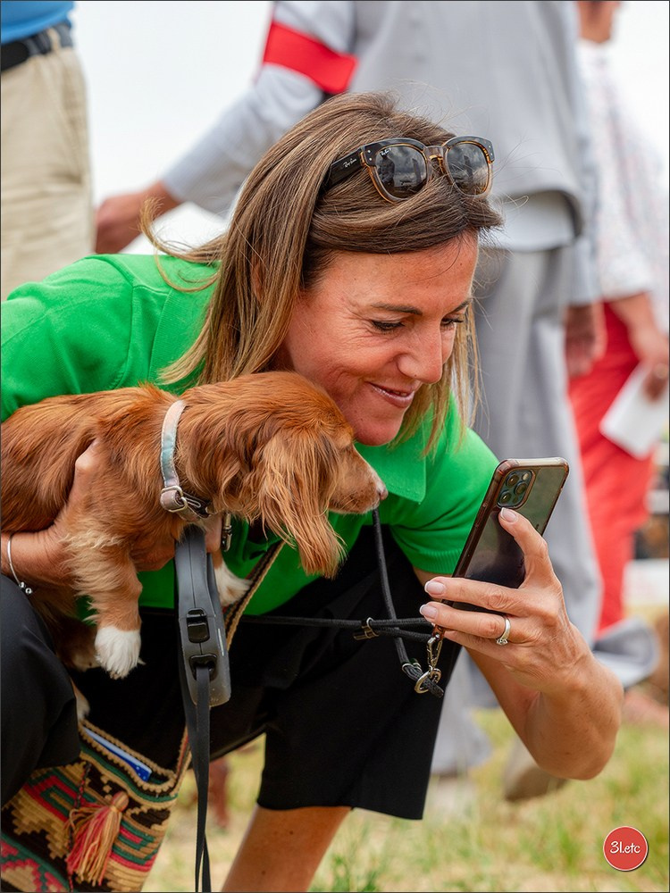 Expo canine (Teckel) Strasbourg Hoerdt  🇫🇷  5-6/07/2025. Photographe à Strasbourg | Portraits, Studio, Enfants, Événements