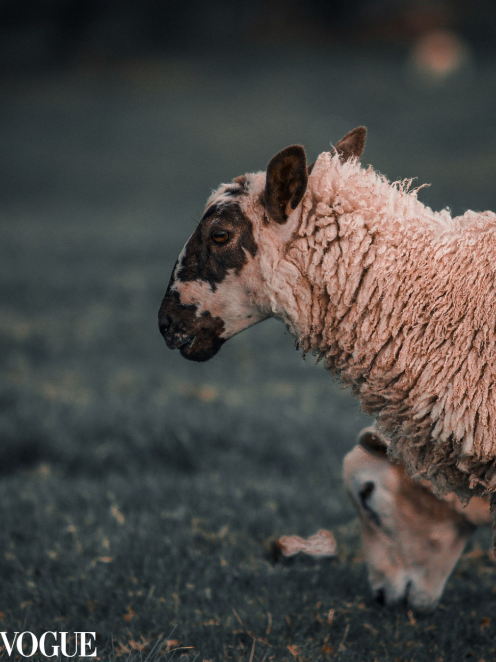 PhotoVogue. Lifestyle & Documentary Photography in Bristol, Bath & London — def0cused