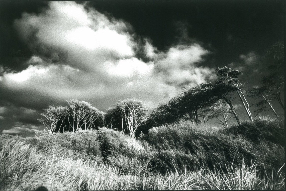 Sacra Natura. Katerina Kiper Photography