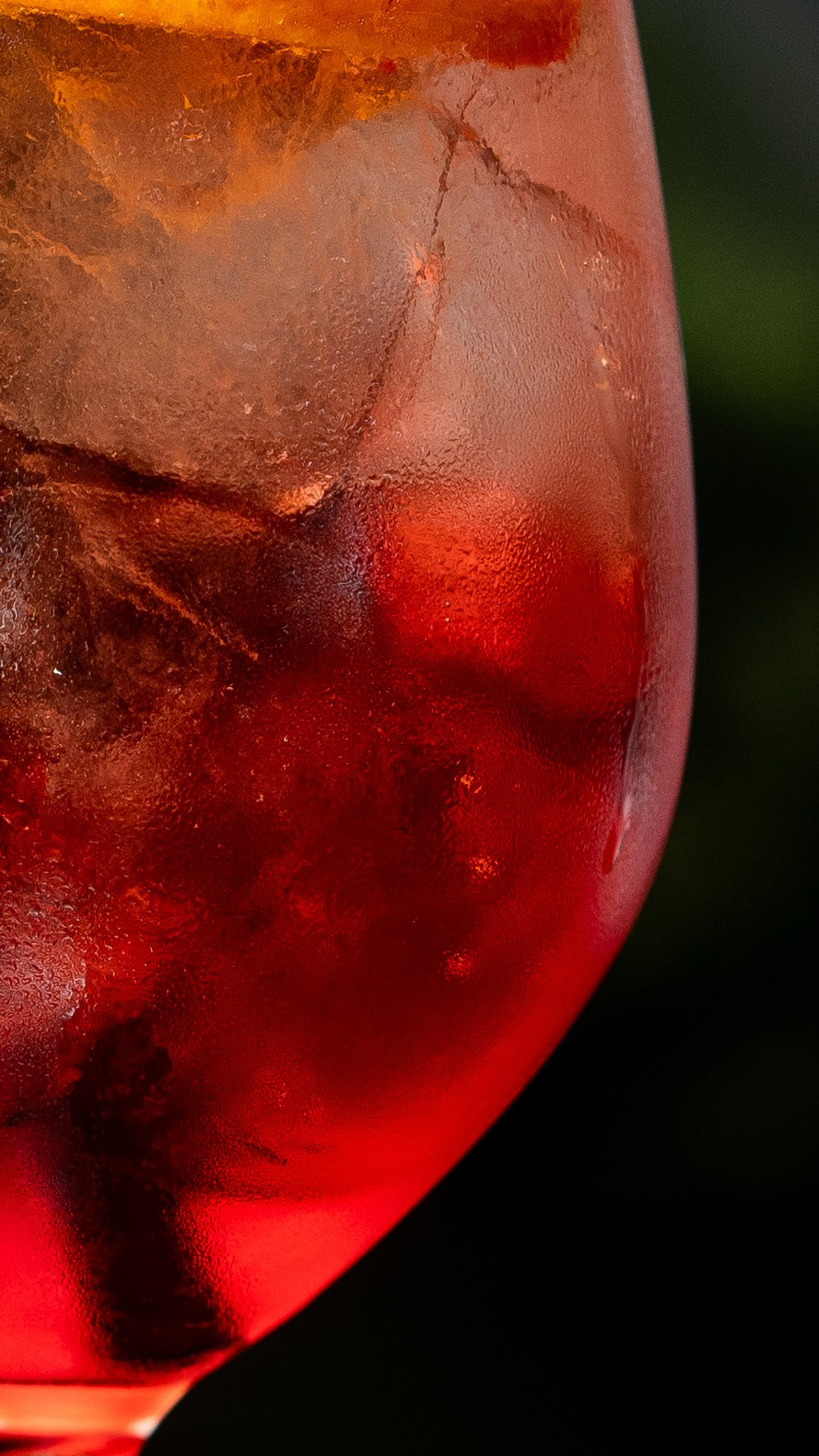 Restaurant Marbella costa del sol restaurante. Photo and video service in Malaga-Marbella-Estepona