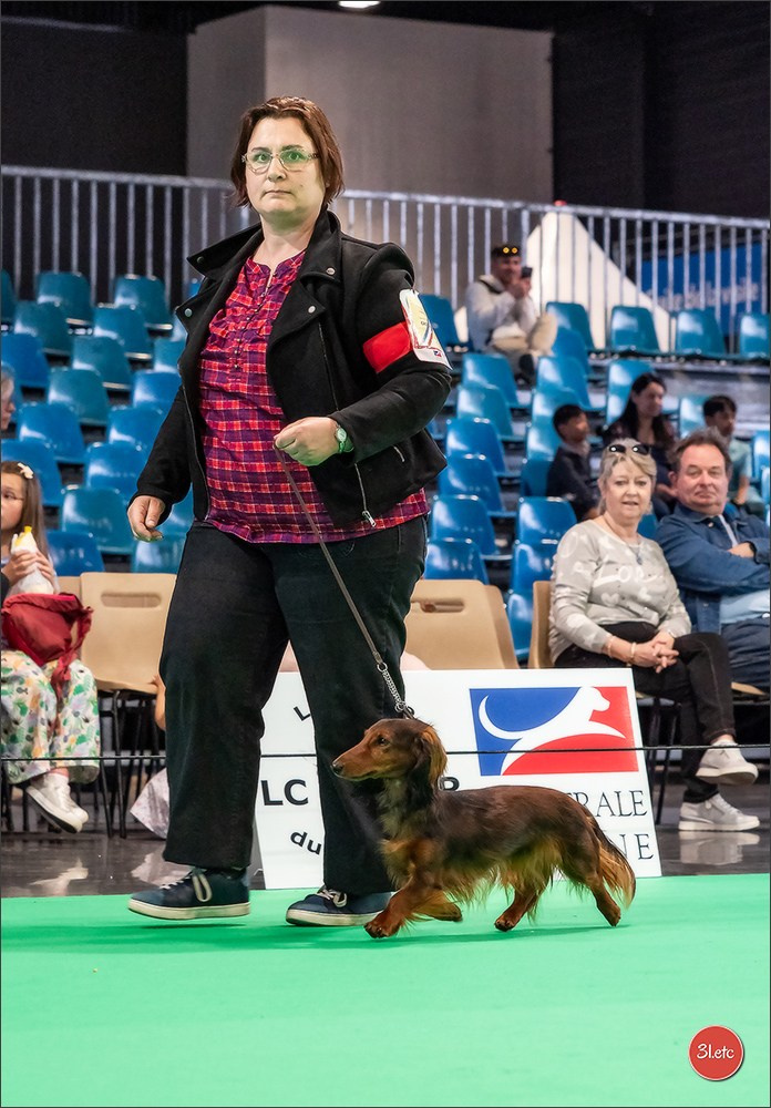 Expo canine   🇫🇷   Mulhouse 5-6/04/2025. Photographe à Strasbourg | Portraits, Studio, Enfants, Événements