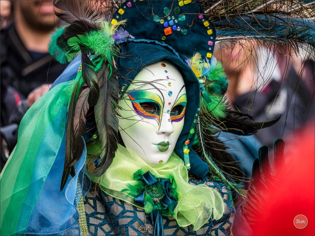 Carnaval venitien de Rosheim 2024. Photographe à Strasbourg | Portraits, Studio, Enfants, Événements