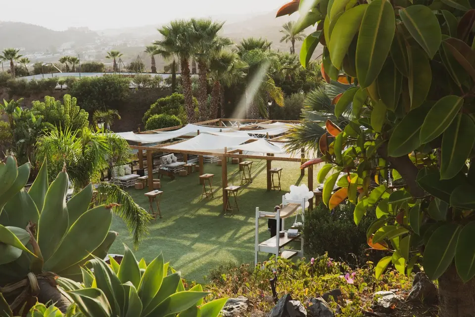 Green wedding with trees