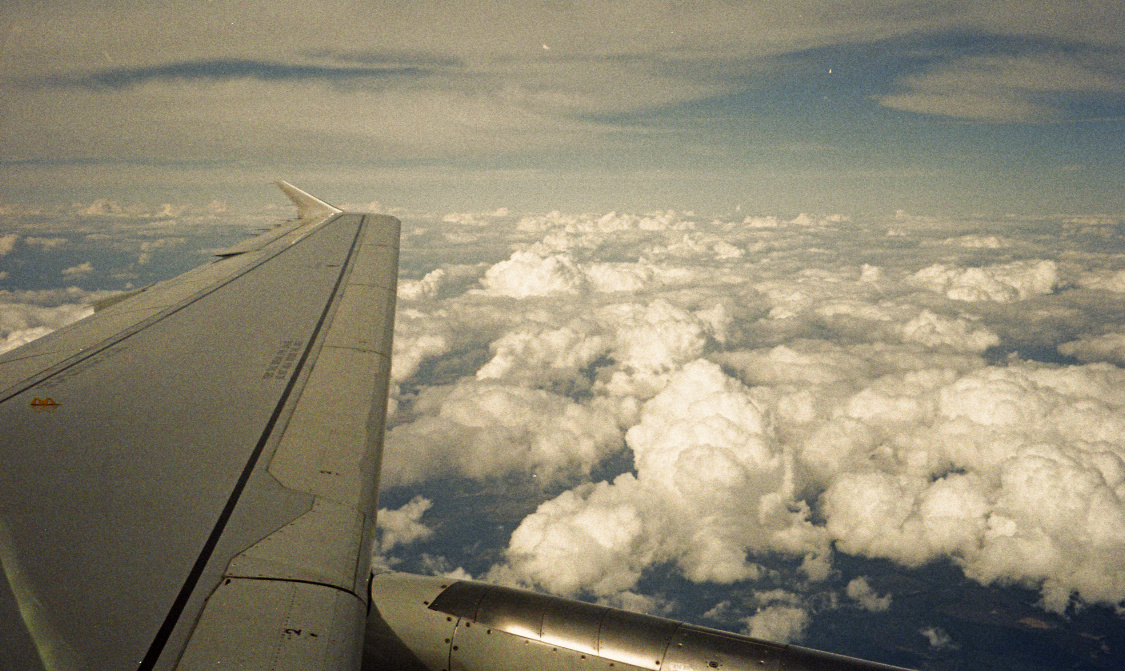 ImPulsTanz Vienna 2012. Fotograaf Amsterdam - Victoria Ushkanova