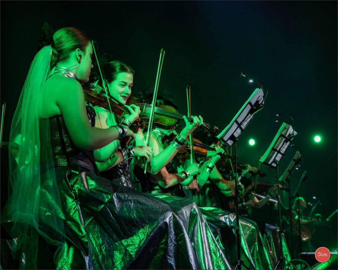 Concerts . Carnavals . Festivals. Photographe à Strasbourg | Portraits, Studio, Enfants, Événements