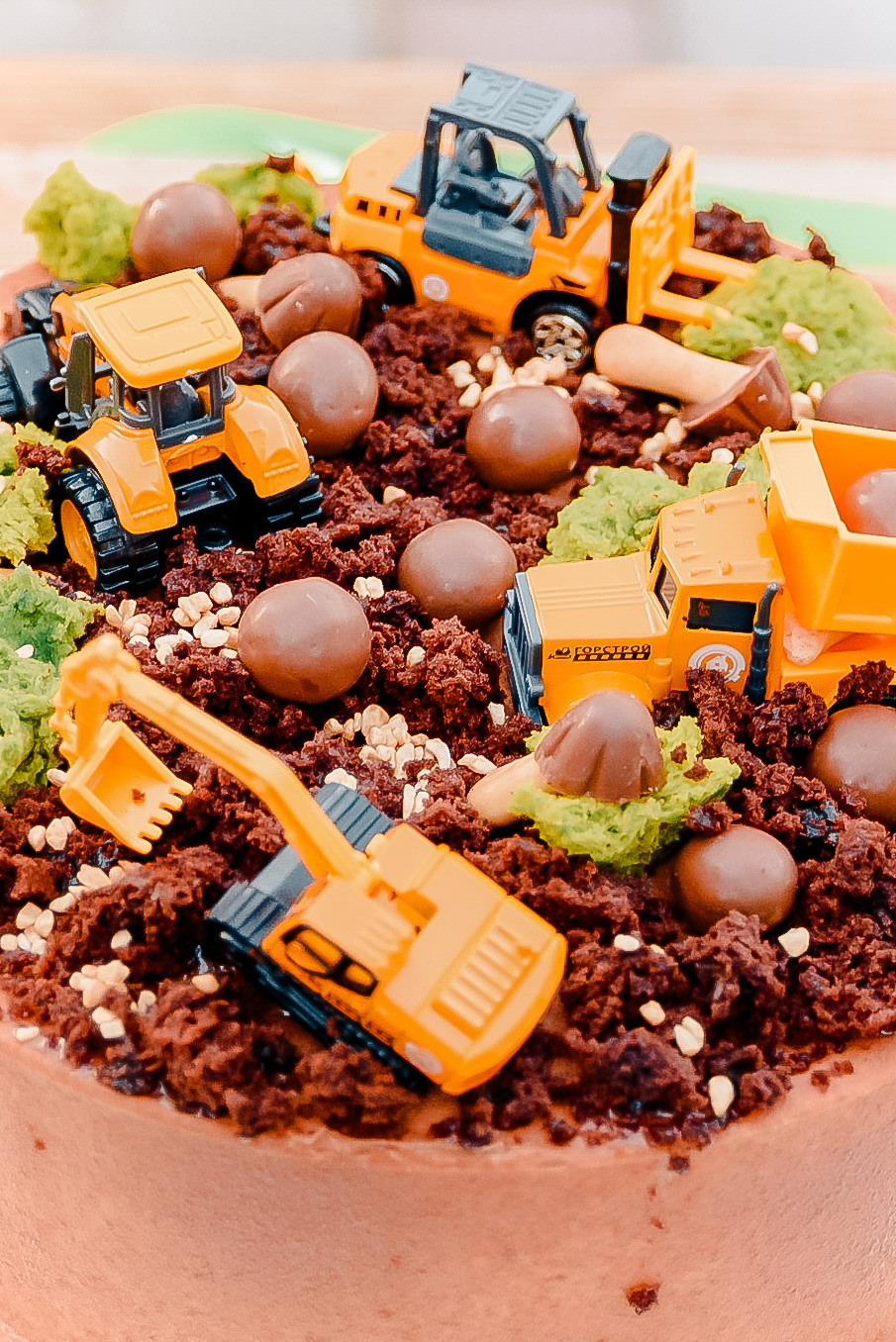 День рождения Романа. МАРИЯ ВАЛУЕВА Фотограф в Ницце, Каннах, Монако, Франции, Европе. Фотограф в Стамбуле