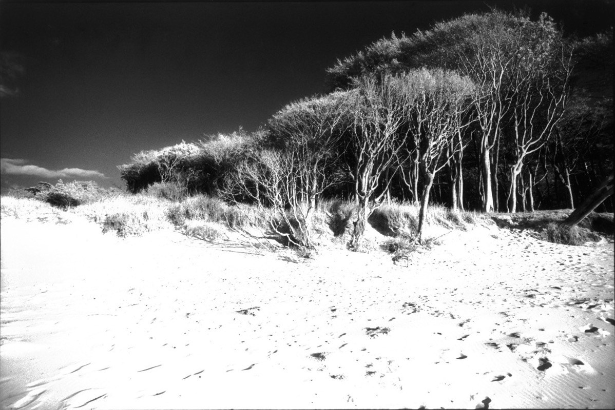 Sacra Natura. Katerina Kiper Photography