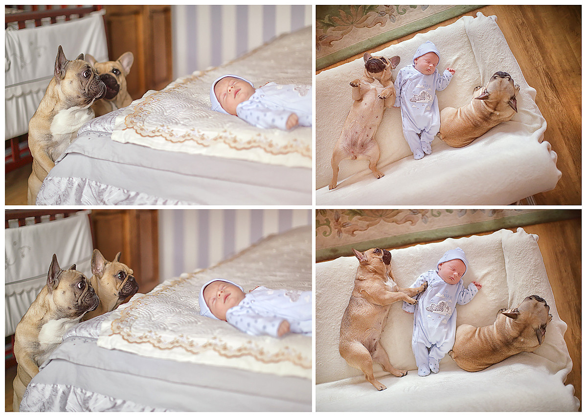 Fotografía infantil. Fotógrafo de bodas. Fotografía de retrato. Fotógrafo Alicante, Madrid