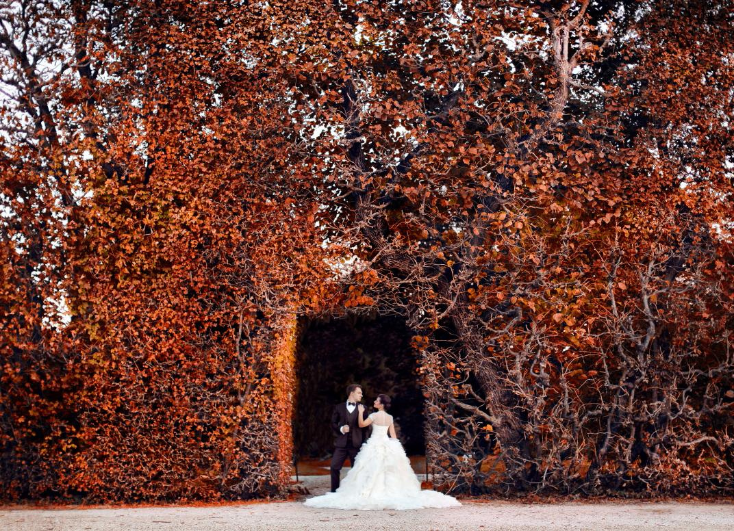 Viena. Fotógrafo de bodas. Fotografía de retrato. Fotógrafo Alicante, Madrid