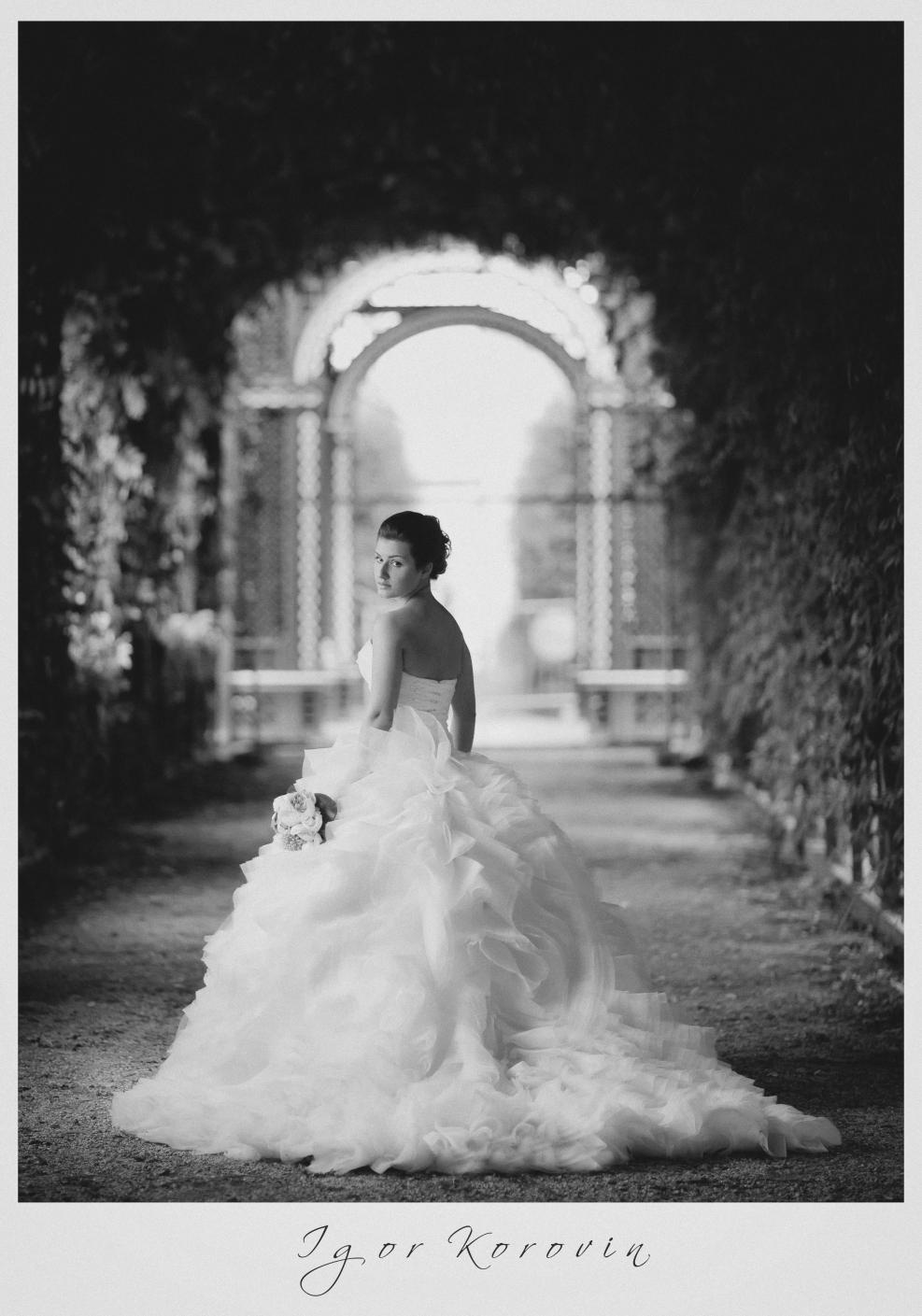 Viena. Fotógrafo de bodas. Fotografía de retrato. Fotógrafo Alicante, Madrid