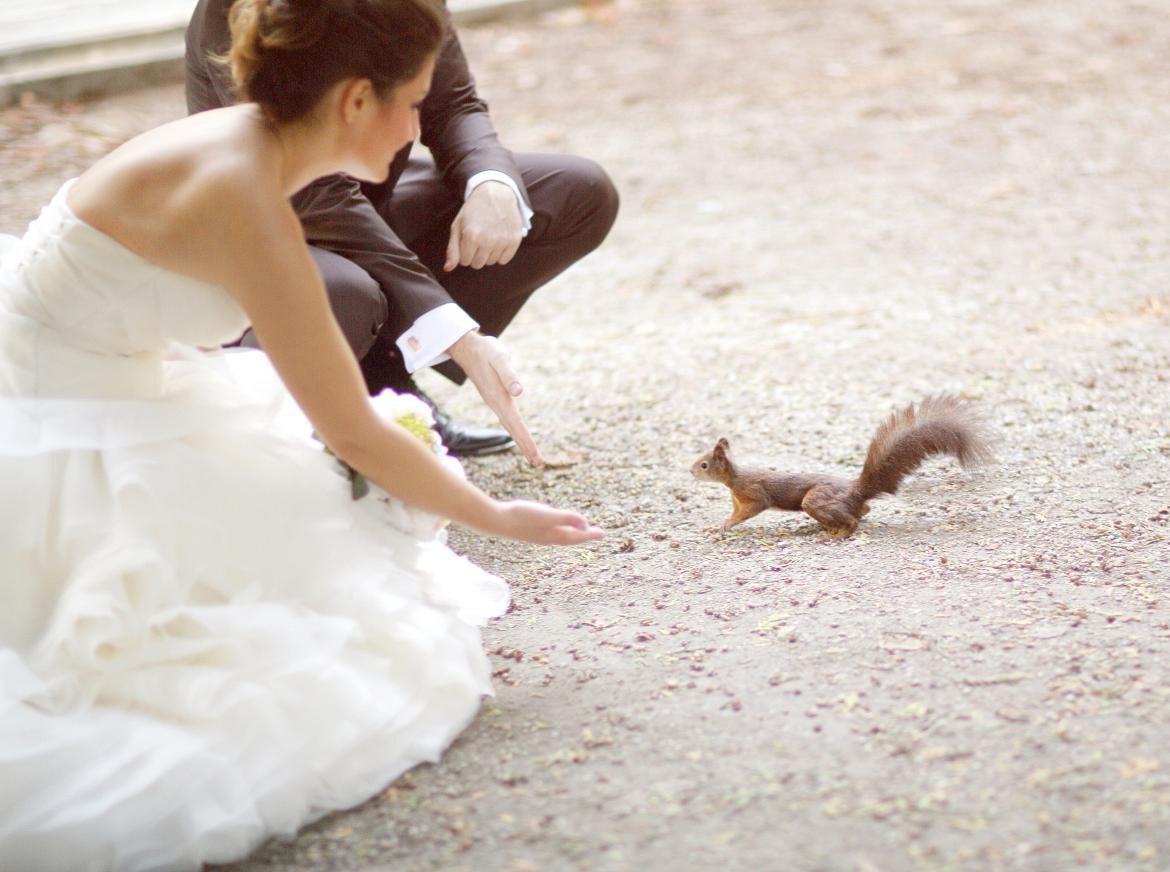 Viena. Fotógrafo de bodas. Fotografía de retrato. Fotógrafo Alicante, Madrid