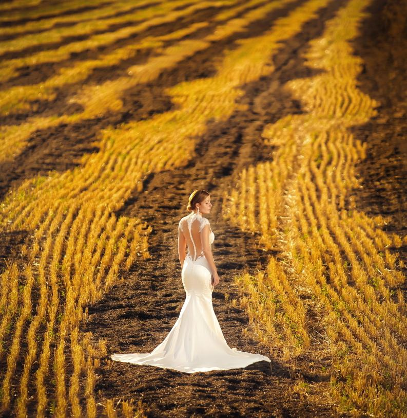 Ukraina-Kiev. Luxury wedding, portrait, family photographer over Europe