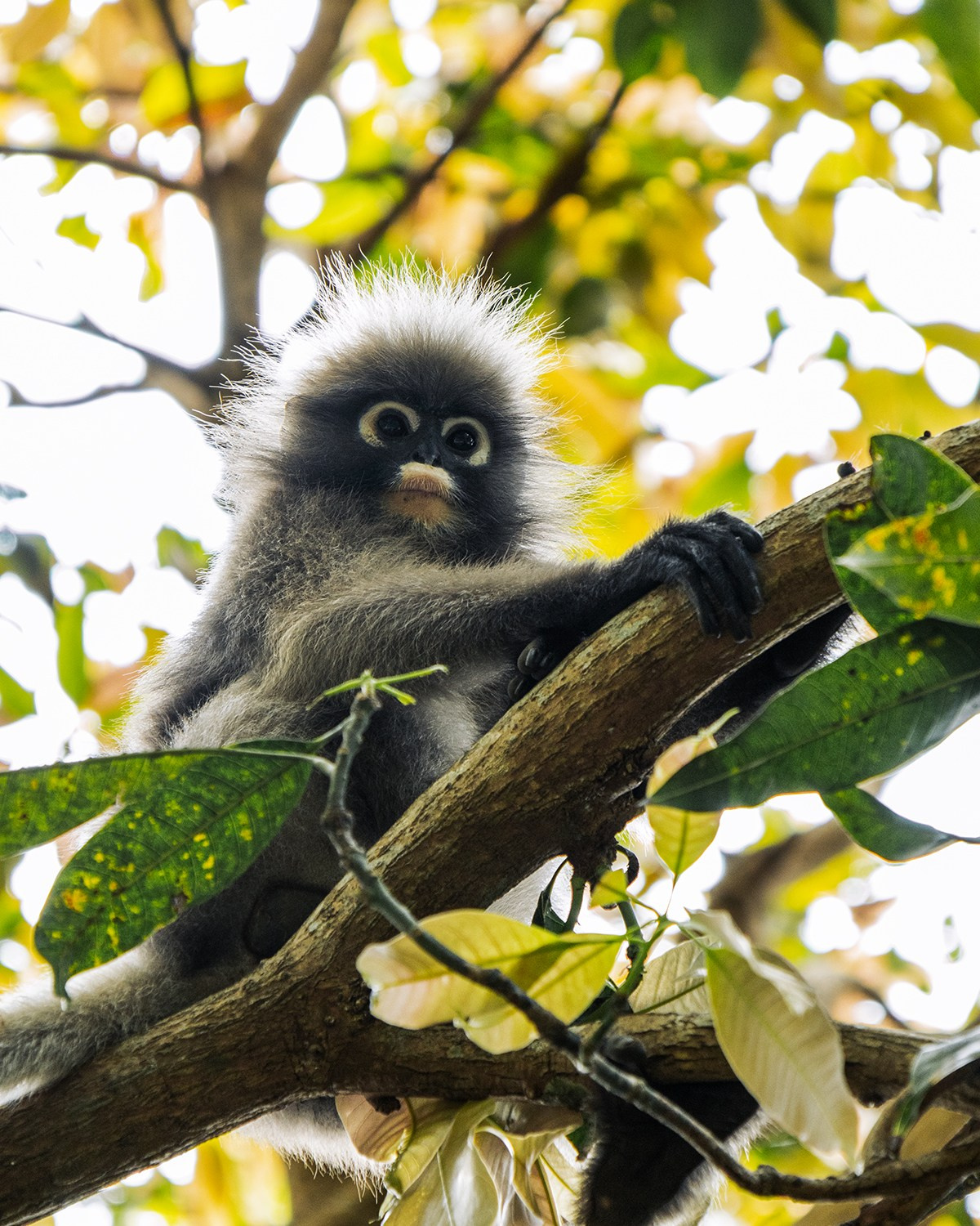 LidiiaFotoLab: Portrait, Event & Hochzeitsfotografin