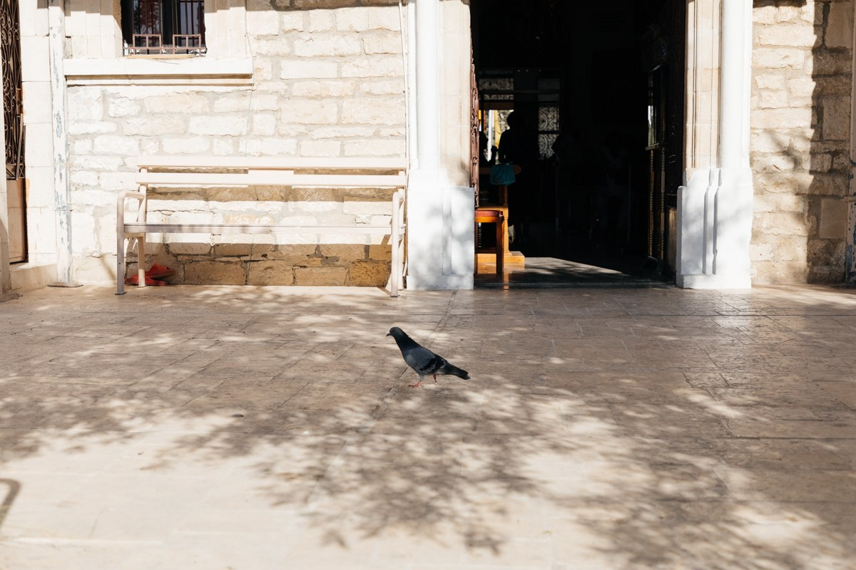 Хрещення M - Прекрасне святкування в Європі та Нідерландах. Весільний фотограф у Нідерландах та Європі — Тіна Ялóва