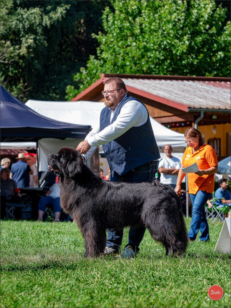 Expo canine Strasbourg  🇫🇷  23-24/08/2025. Photographe à Strasbourg | Portraits, Studio, Enfants, Événements