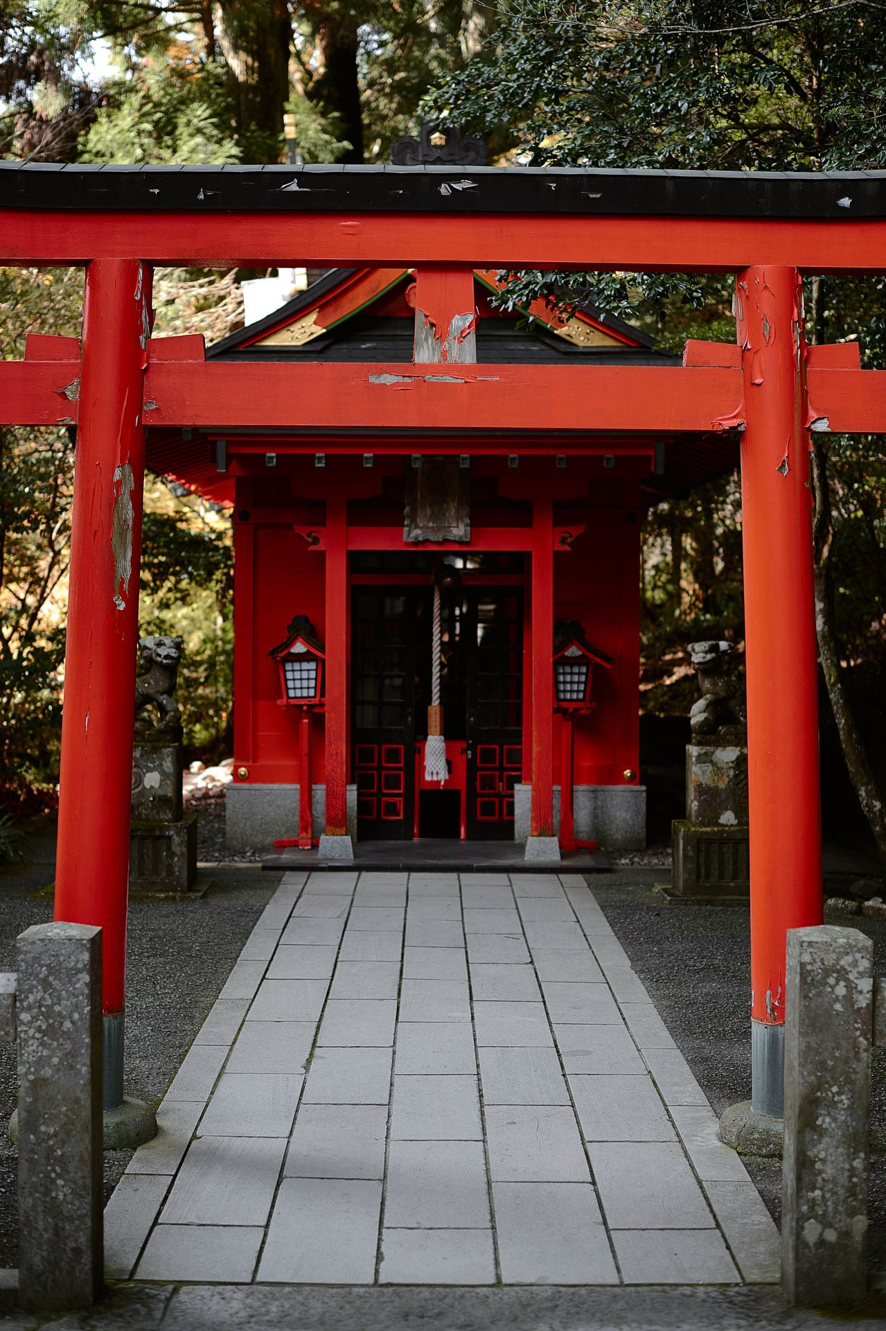 Travel Photography in Hakone & Nikko