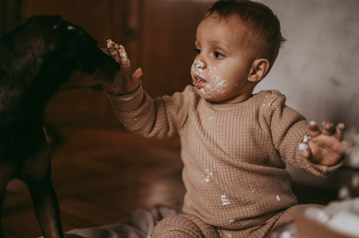 Filipova prva proslava rodjendan kod kuce. Deciji i porodicni fotograf u Beogradu Oksana Skendzic