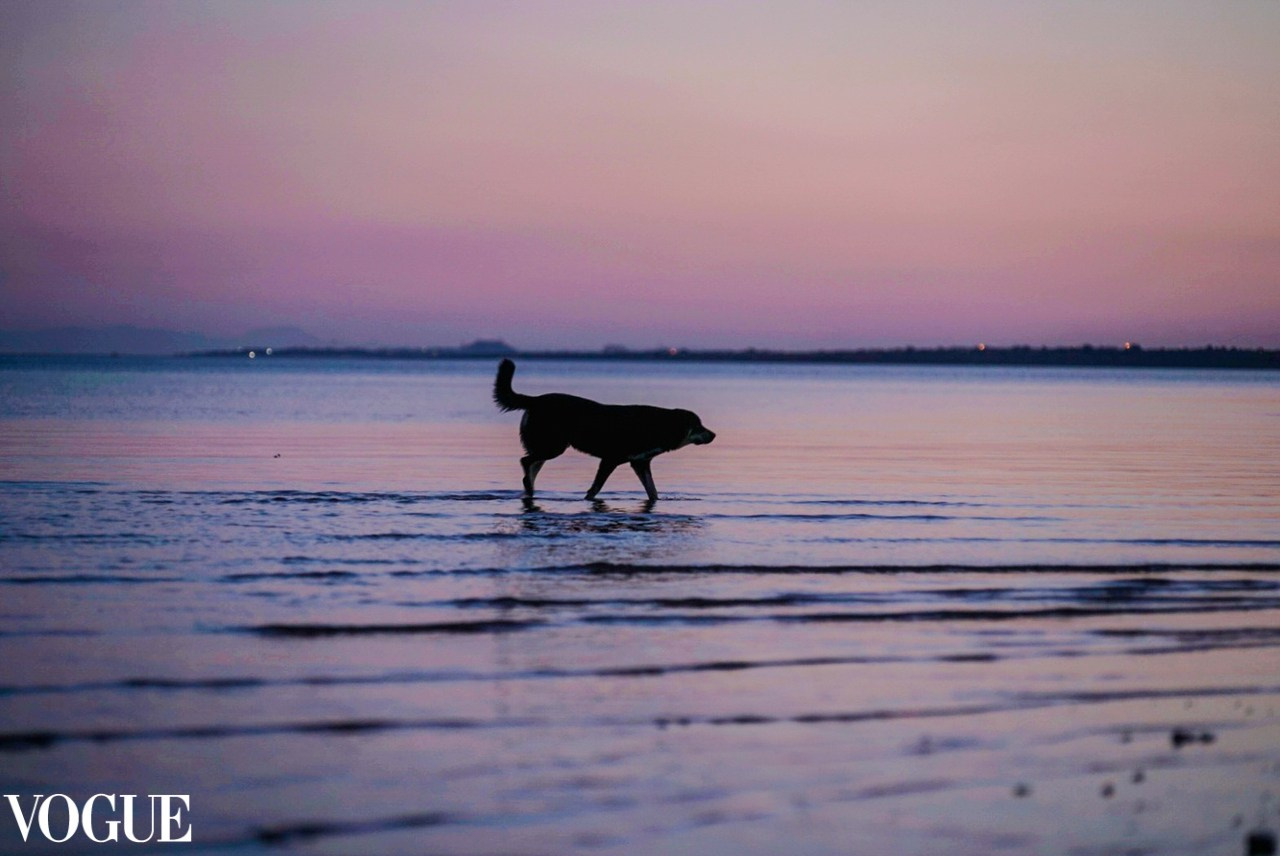 Online Publications. Jelena Kintero ART