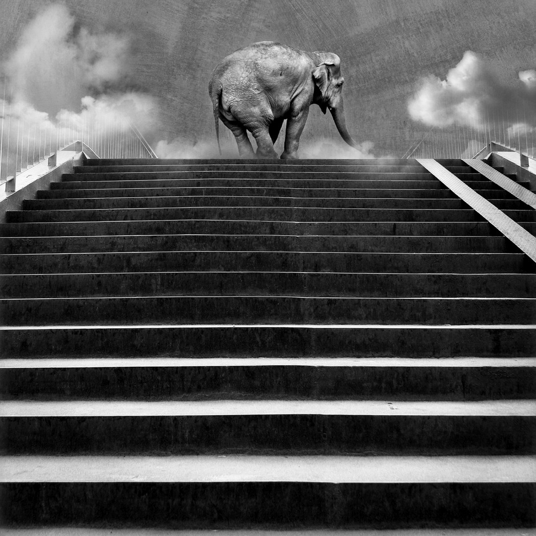 Meetings with Morpheus. Halina Marduła, visual artist, lives and works in Wrocław (Poland)