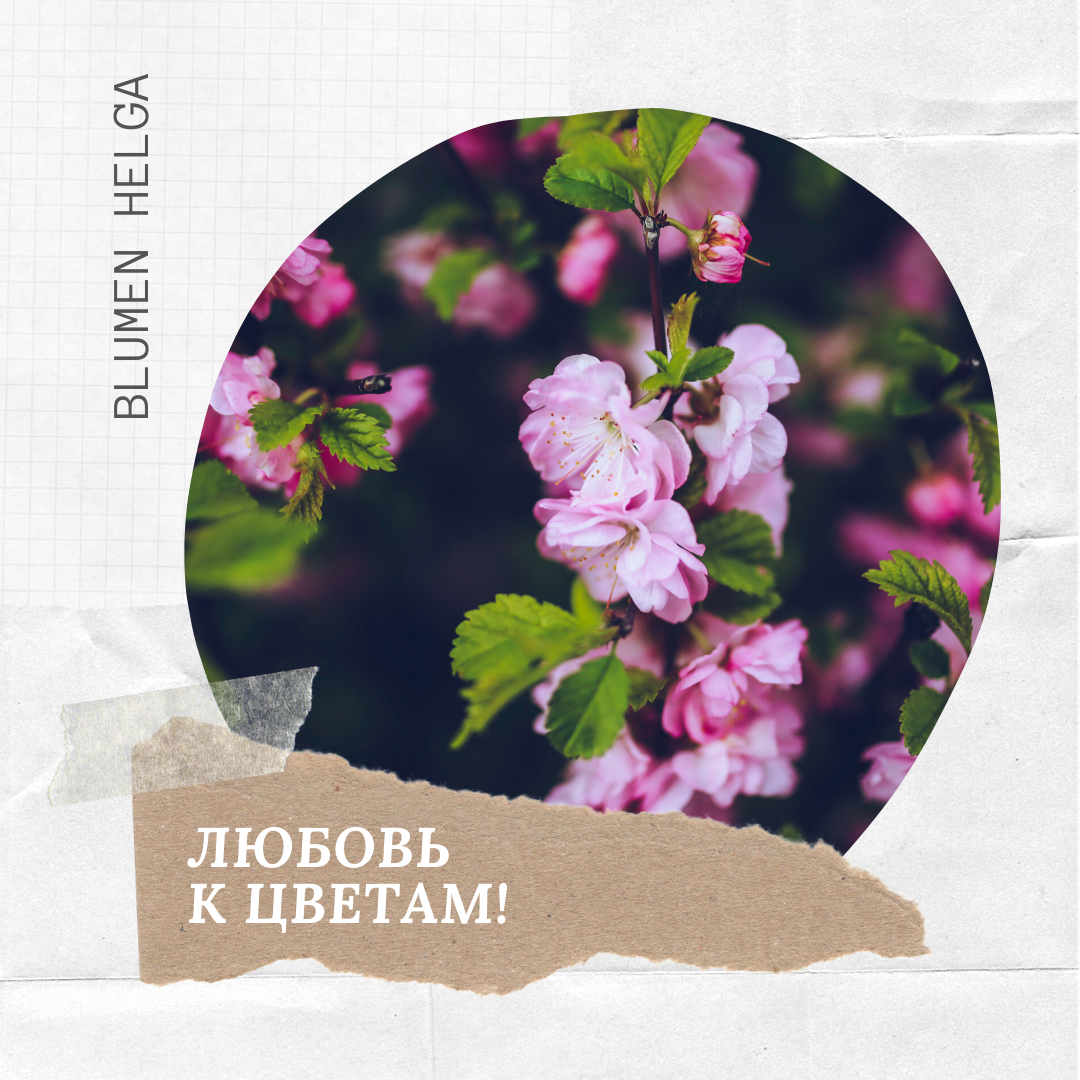 Instagram. Рекламное агентство в Германии