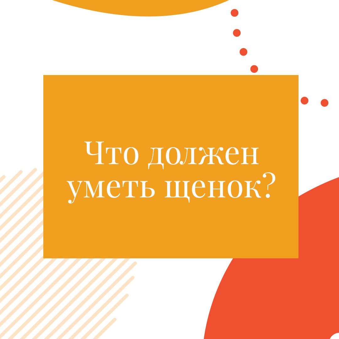 Instagram. Рекламное агентство в Германии