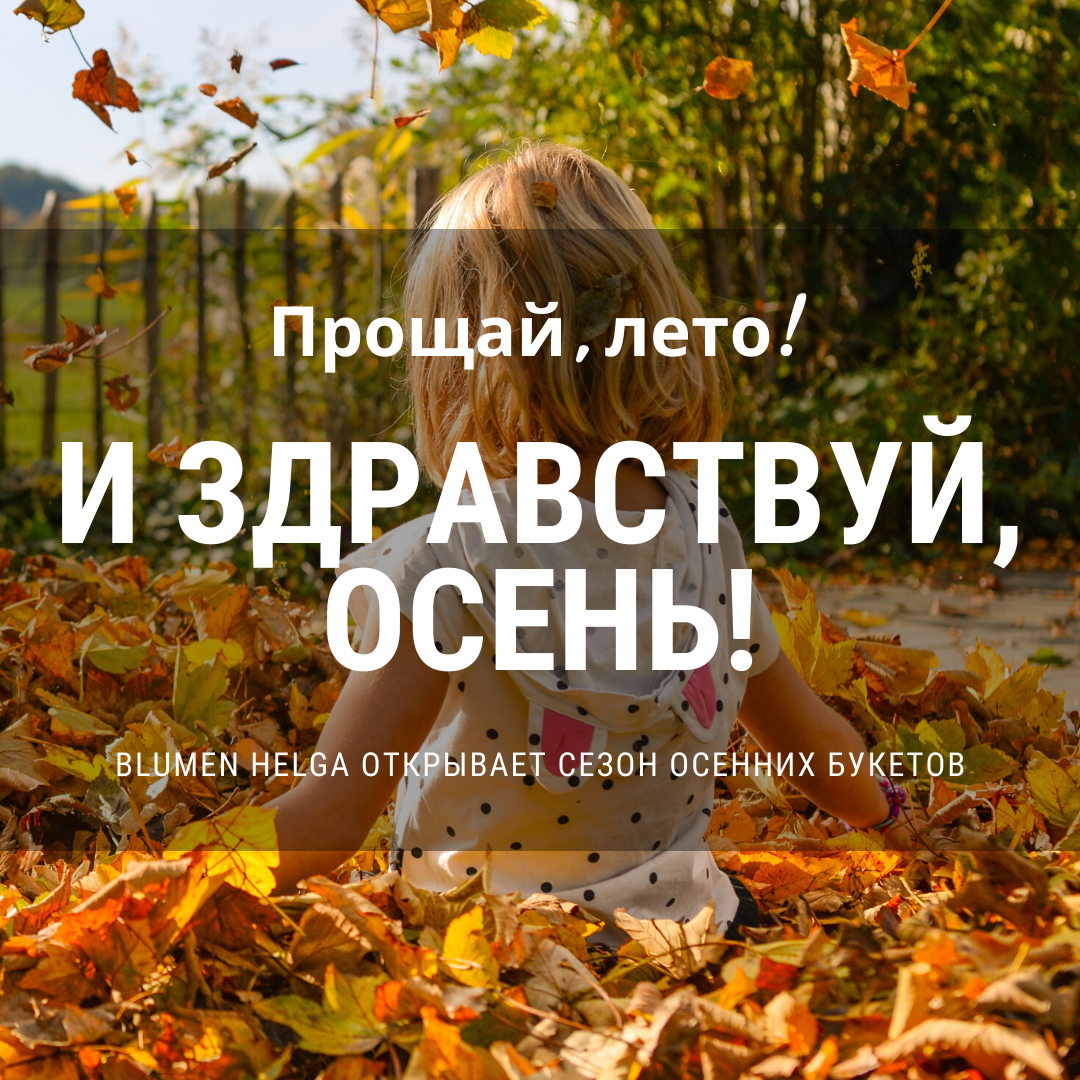 Instagram. Рекламное агентство в Германии