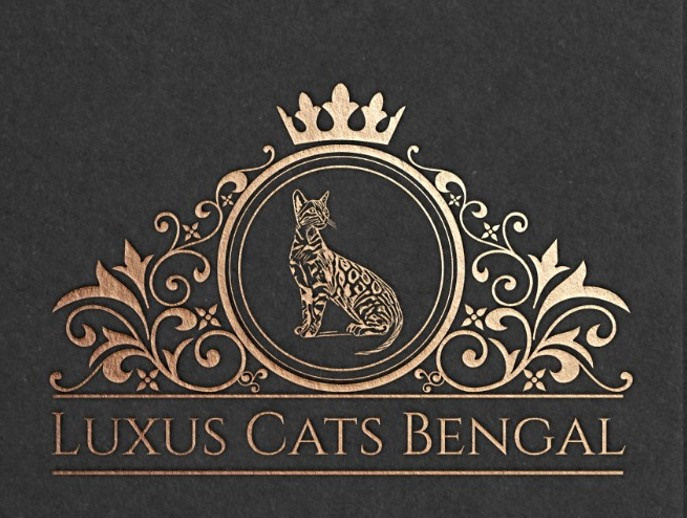 Логотипы. Рекламное агентство в Германии