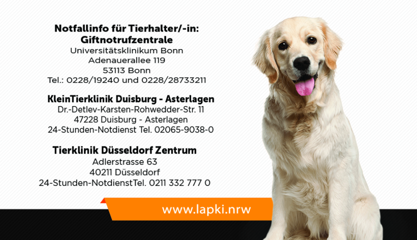 Визитки. Рекламное агентство в Германии