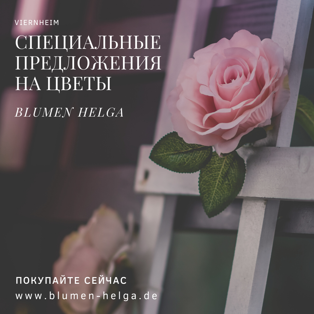 Instagram. Рекламное агентство в Германии