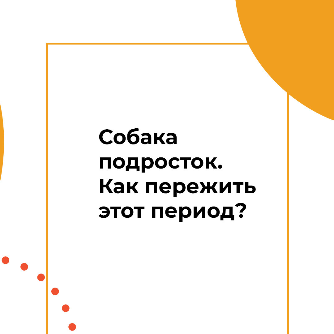 Instagram. Рекламное агентство в Германии