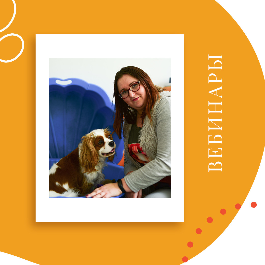 Instagram. Рекламное агентство в Германии