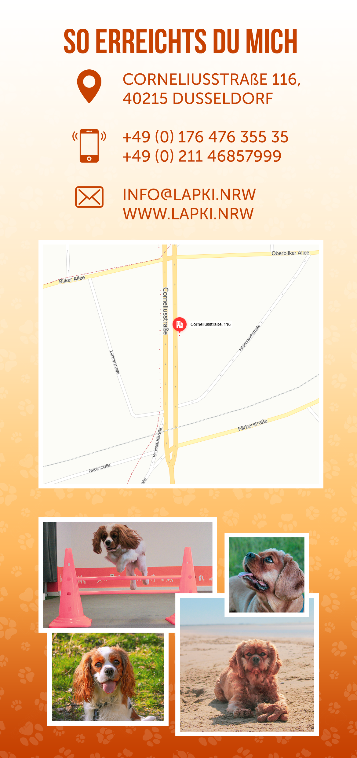 Буклеты. Брошюры. Каталоги. Рекламное агентство в Германии