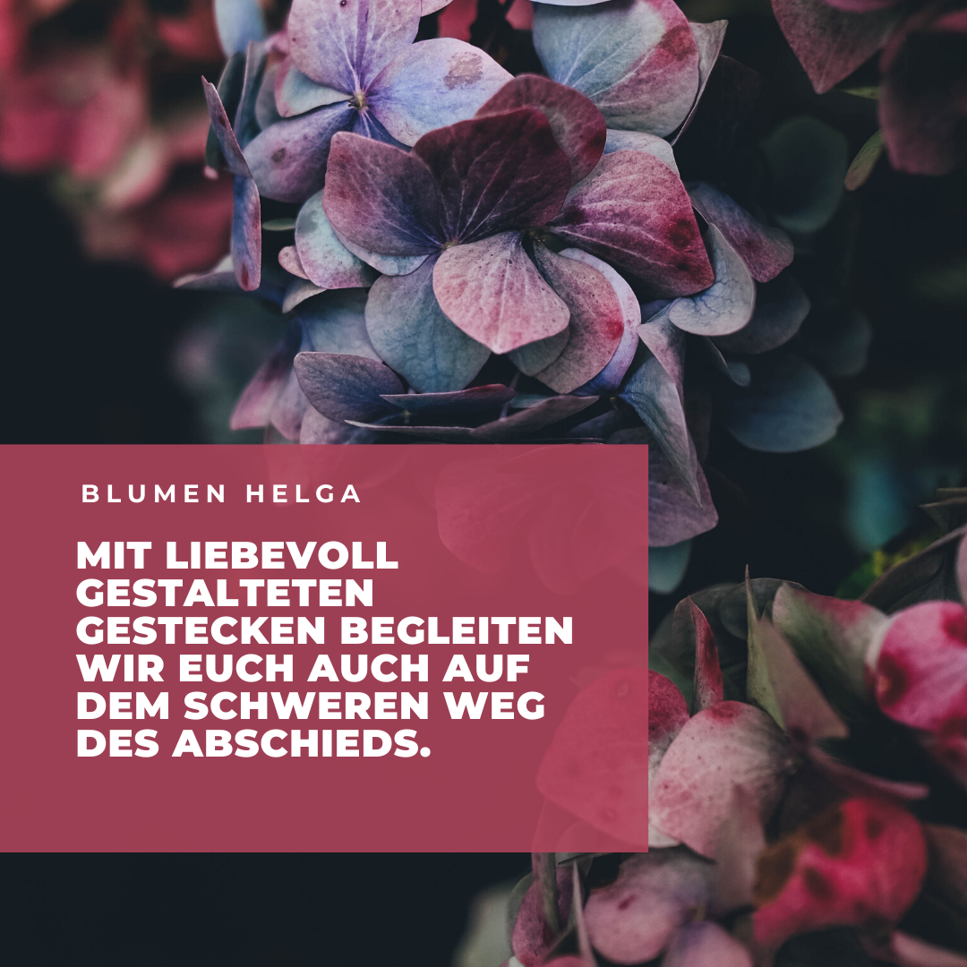 Instagram. Рекламное агентство в Германии